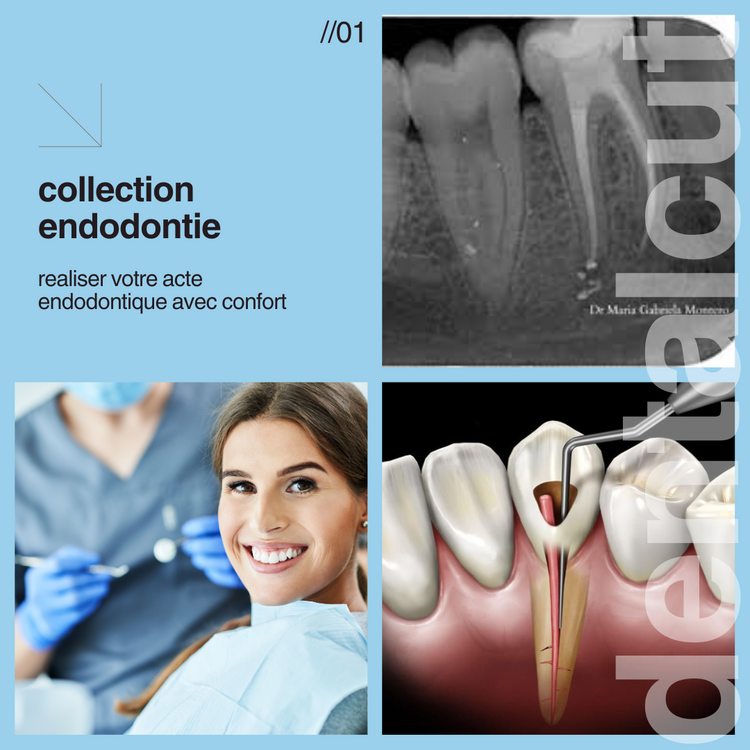 Endodontie